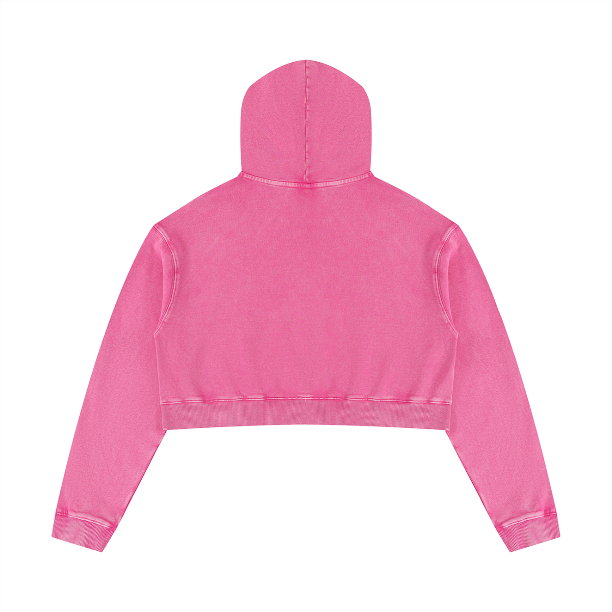 EEEEEEEEEE!!! Mineral Washed Crop Hoodie